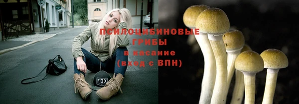 MESCALINE Гусь-Хрустальный