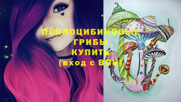 альфа пвп Гусев