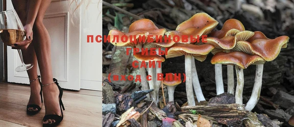 MESCALINE Гусь-Хрустальный