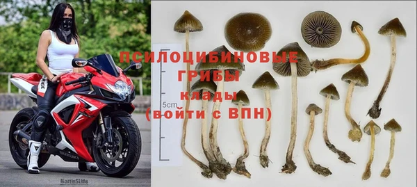 MESCALINE Горно-Алтайск