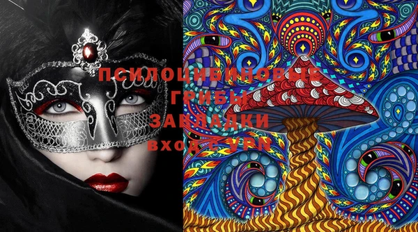 прущие крисы Гусиноозёрск
