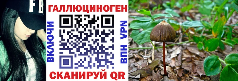 Псилоцибиновые грибы мухоморы  МЕГА ссылки  Яхрома 