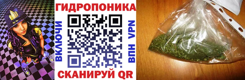 где найти наркотики  Яхрома  Конопля SATIVA & INDICA 